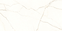 Gạch Prime 60x120cm 20800