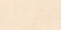 Gạch Prime 60x120cm 20807