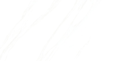 Gạch Prime 60x120cm 20813