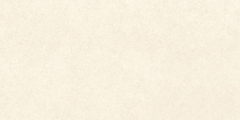 Gạch Prime 60x120cm 27329