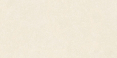 Gạch Prime 60x120cm 27331