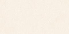Gạch Prime 60x120cm 27E63