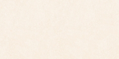 Gạch Prime 60x120cm 27E63