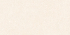 Gạch Prime 60x120cm 27E63