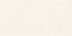 Gạch Prime 60x120cm 27E68