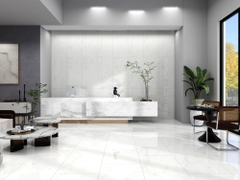 Gạch Prime 60x120cm 44E09