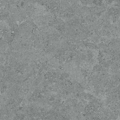 Gạch Prime 60x60cm 24009