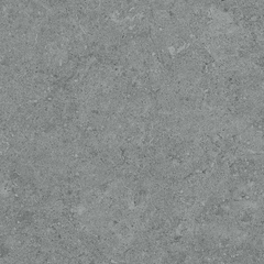 Gạch Prime 60x60cm 24009