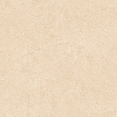 Gạch Prime 60x60cm 25005