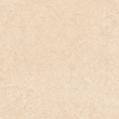 Gạch Prime 60x60cm 25005