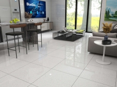 Gạch Prime 60x60cm 25008