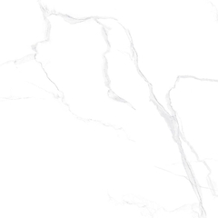 Gạch Prime 60x60cm 25119
