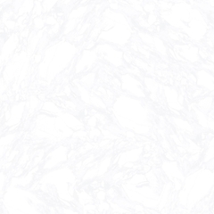 Gạch Prime 60x60cm 29613