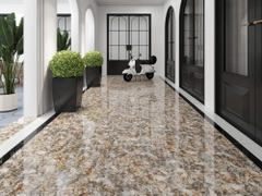 Gạch Prime 60x60cm 29E48