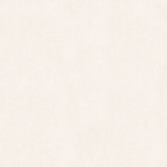 Gạch Prime 60x60cm 29E61