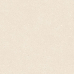 Gạch Prime 60x60cm 29E69