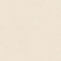 Gạch Prime 60x60cm 29E69