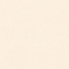 Gạch Prime 60x60cm 29E75