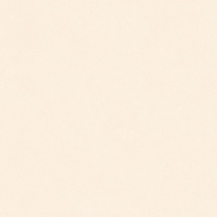 Gạch Prime 60x60cm 29E75