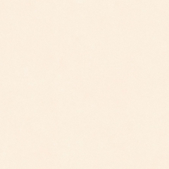 Gạch Prime 60x60cm 29E75