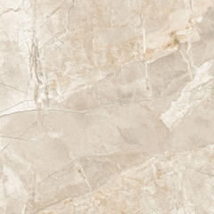 Gạch Prime 60x60cm 45E06