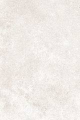 Gạch Prime 7.5x30cm 08040