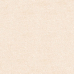 Gạch Prime 80x80cm 27702