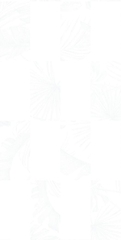 Gạch Prime 30x60cm 03E57