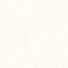 Gạch lát nền Prime 60x60 11632