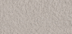 Gạch Prime 10x21cm 26E01