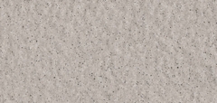 Gạch Prime 10x21cm 26E01