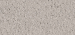 Gạch Prime 10x21cm 26E01