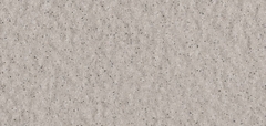 Gạch Prime 10x21cm 26E01