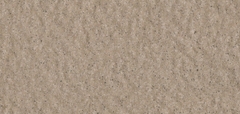 Gạch Prime 10x21cm 26E02