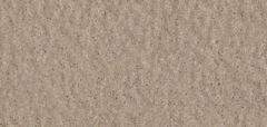 Gạch Prime 10x21cm 26E02