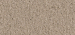 Gạch Prime 10x21cm 26E02