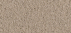 Gạch Prime 10x21cm 26E02