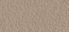 Gạch Prime 10x21cm 26E02