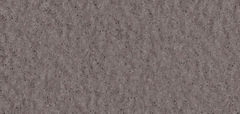 Gạch Prime 10x21cm 26E04