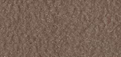 Gạch Prime 10x21cm 26E06