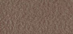 Gạch Prime 10x21cm 26E06