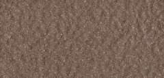 Gạch Prime 10x21cm 26E06