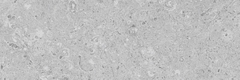 Gạch Prime 10x30cm 09E08