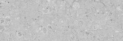 Gạch Prime 10x30cm 09E08