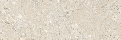 Gạch Prime 10x30cm 09E09