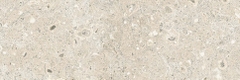 Gạch Prime 10x30cm 09E09