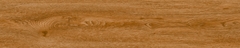 Gạch Prime 20x100cm 20702
