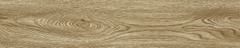 Gạch Prime 20x100cm 20704