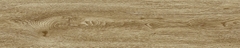 Gạch Prime 20x100cm 20704