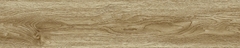 Gạch Prime 20x100cm 20704